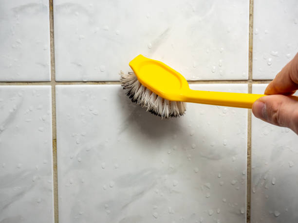 Best Mold Cleaning Services  in Tremont, IL